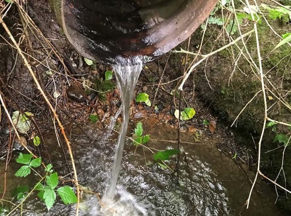 Example of a perched (raised culvert)