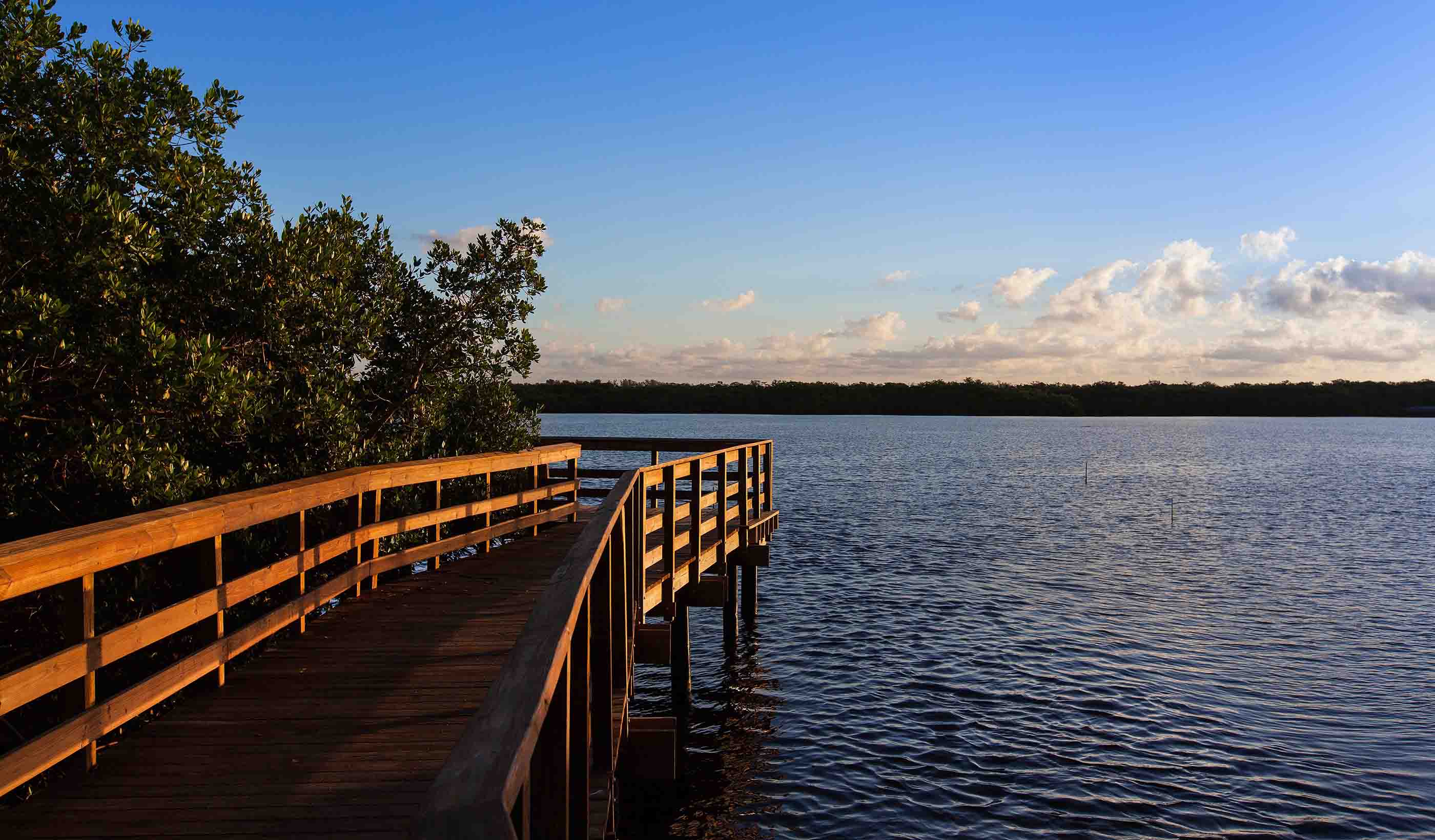 Perico Preserve Restoration