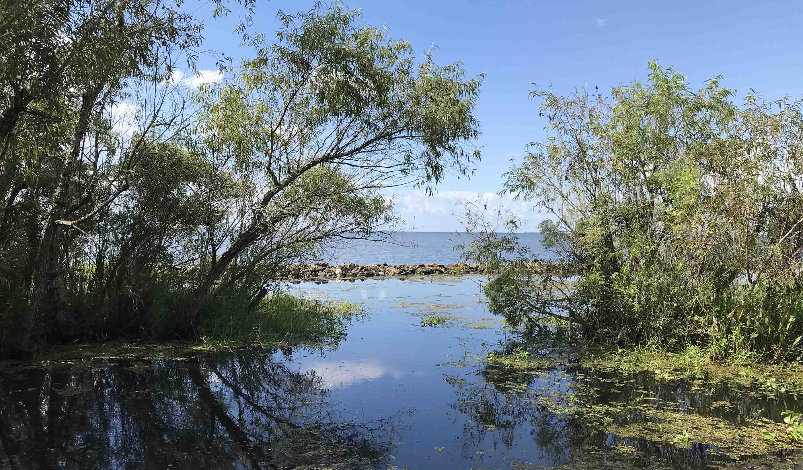 Shoreline Protection at Jean Lafitte National Historic