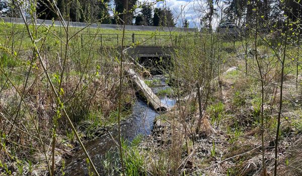 New Culvert designed for fish passage.